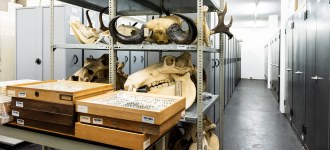 Museum Wiesbaden organisiert erste Fachtagung 